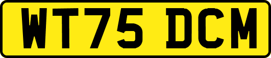 WT75DCM