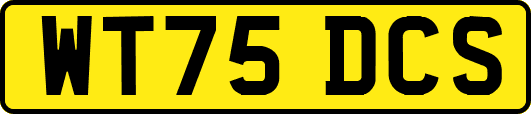 WT75DCS