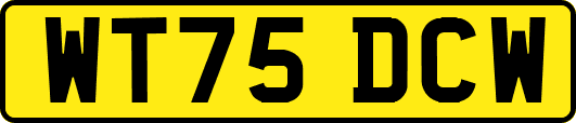WT75DCW