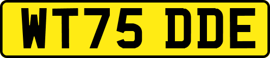 WT75DDE