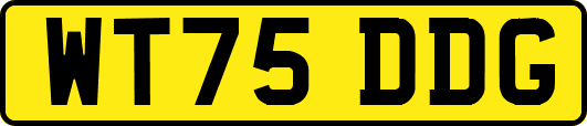 WT75DDG