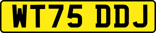 WT75DDJ