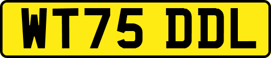 WT75DDL