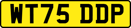 WT75DDP
