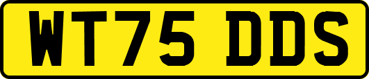 WT75DDS