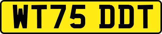 WT75DDT