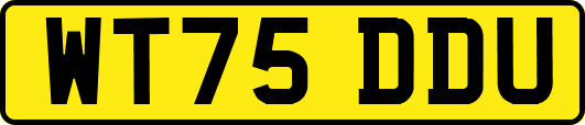 WT75DDU