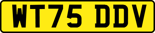 WT75DDV