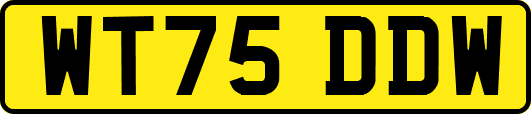 WT75DDW