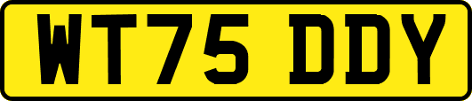 WT75DDY