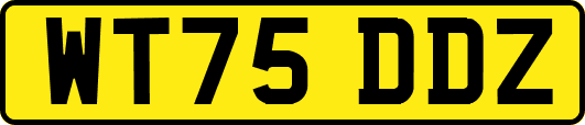 WT75DDZ