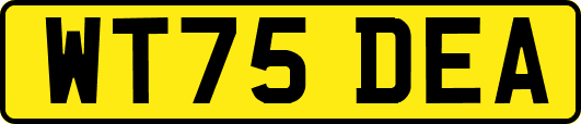 WT75DEA