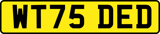 WT75DED