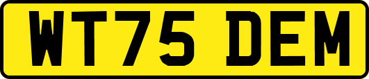 WT75DEM