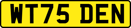 WT75DEN