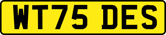 WT75DES