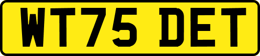 WT75DET