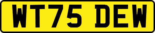 WT75DEW