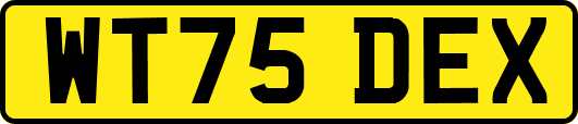 WT75DEX