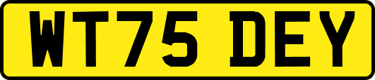 WT75DEY