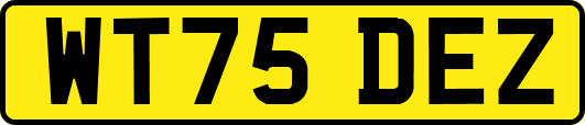 WT75DEZ