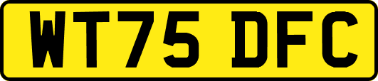 WT75DFC