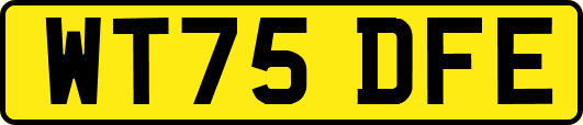 WT75DFE