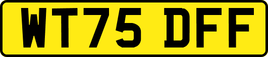 WT75DFF