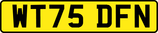 WT75DFN