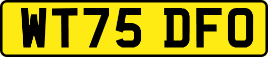 WT75DFO