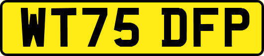 WT75DFP
