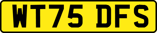 WT75DFS