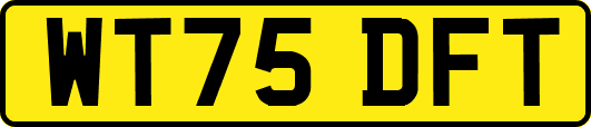 WT75DFT