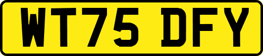 WT75DFY