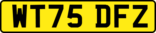WT75DFZ