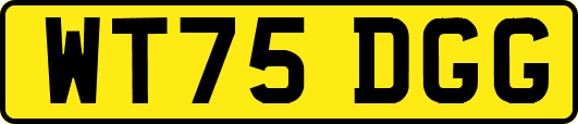 WT75DGG
