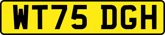WT75DGH