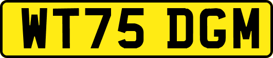 WT75DGM