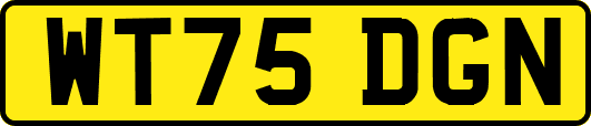WT75DGN