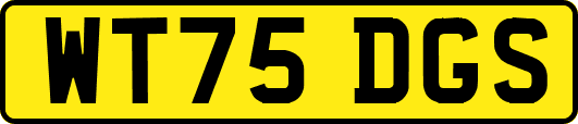 WT75DGS