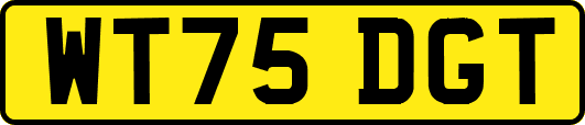 WT75DGT