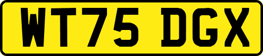 WT75DGX