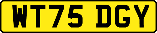 WT75DGY