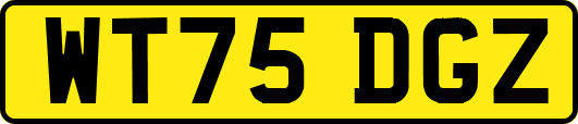 WT75DGZ