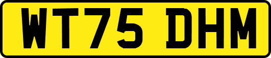 WT75DHM