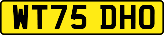 WT75DHO