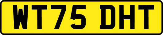WT75DHT