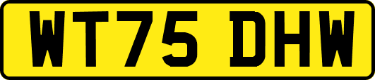 WT75DHW