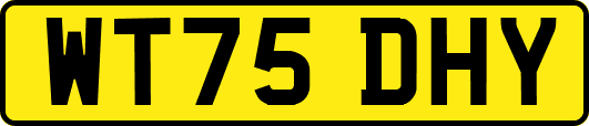 WT75DHY