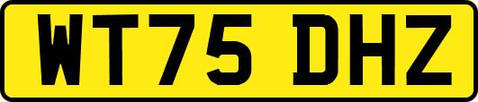 WT75DHZ